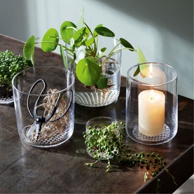LSA Glassware Market Vase/Lantern Clear styled with plants and a lit candle on a dark surface, shown in various sizes