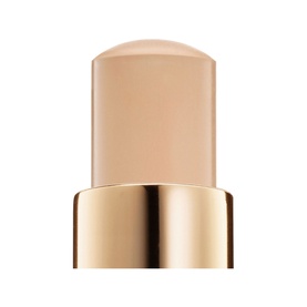 Teint Idole Ultra Wear Stick Foundation