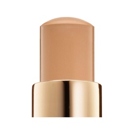 Teint Idole Ultra Wear Stick Foundation