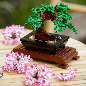 Bonsai Tree
