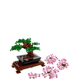 Bonsai Tree