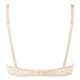 Ombrage Padded Push Up Bra