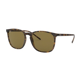 0RB4387 Square Sunglasses