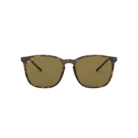 0RB4387 Square Sunglasses