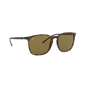 0RB4387 Square Sunglasses