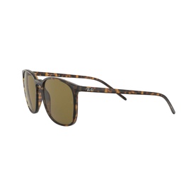 0RB4387 Square Sunglasses