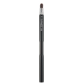 Retractable Lip Brush