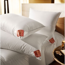 Luxury Twin Pillow