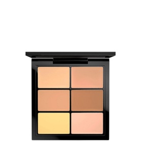 Studio Conceal and Correct Palette Light