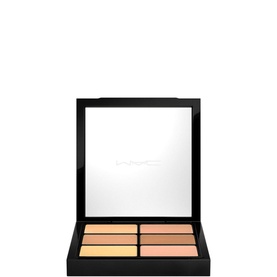 Studio Conceal and Correct Palette Light