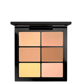 Studio Conceal and Correct Palette Light