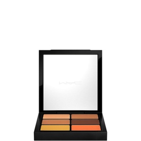 Studio Conceal and Correct Palette Light
