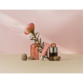 Gingerlily Body Wash