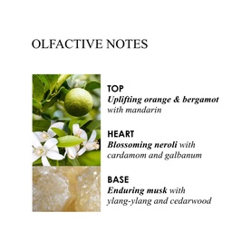 Orange & Bergamot Body Lotion