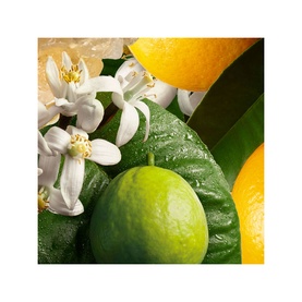 Orange & Bergamot Hand Cream