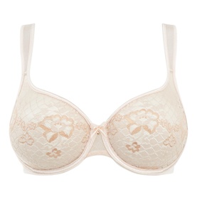 Melody Triangle Bra Size C-D