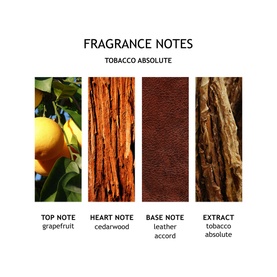 Tobacco Absolute Body Wash