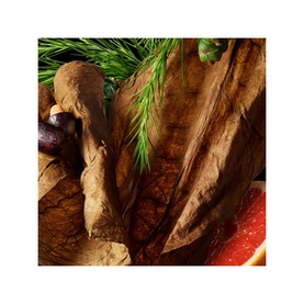 Tobacco Absolute Body Wash