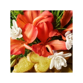 Gingerlily Nourishing Body Lotion