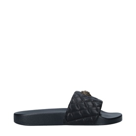 Meena Eagle Slides
