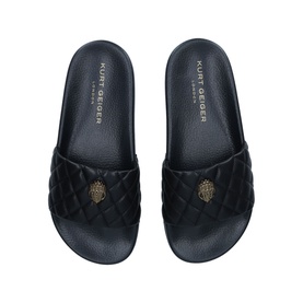 Meena Eagle Slides