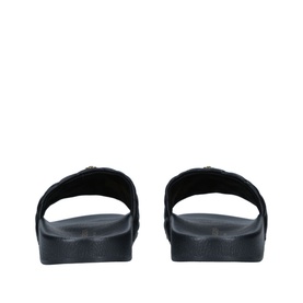 Meena Eagle Slides