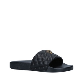 Meena Eagle Slides