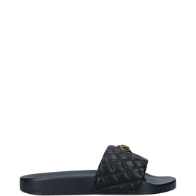 Meena Eagle Slides