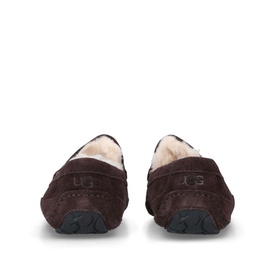 Ascot Slippers