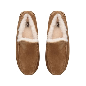 Ascot Slippers