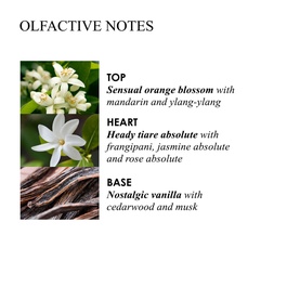 Flora Luminare Fine Liquid Hand Wash 300ml