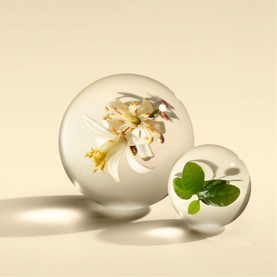 Orange and Bergamot Eau de Parfum