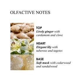 Heavenly Ginger Caressing Bath Oil