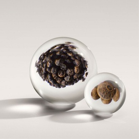 Re-charge Black Pepper Eau de Parfum