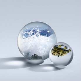 Coastal Cypress and Sea Fennel Eau de Parfum