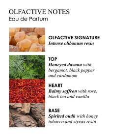 Mesmerising Oudh Accord and Gold Eau de Parfum 100ml