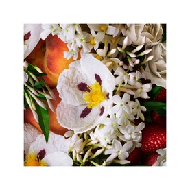 Jasmine & Sun Rose Body Lotion