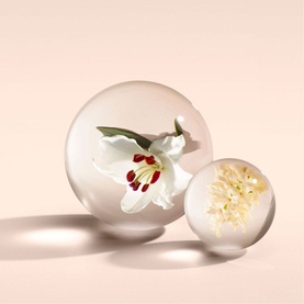 Heavenly Gingerlily Eau de Parfum 100ml