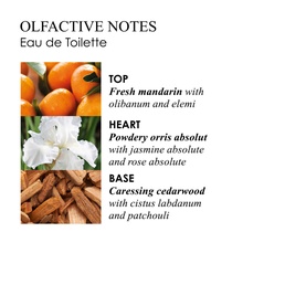 Vetiver and Grapefruit Eau de Toilette