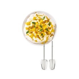 QuickMix Lite Hand Blender