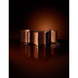 Bronzing Powder
