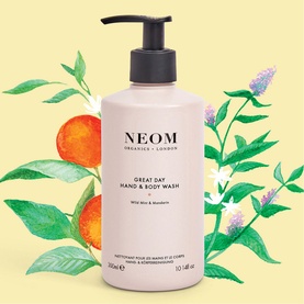 Great Day Hand and Body Wash 300ml