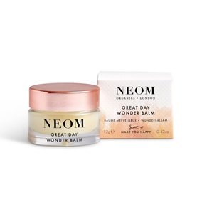 Great Day Wonder Balm 12g