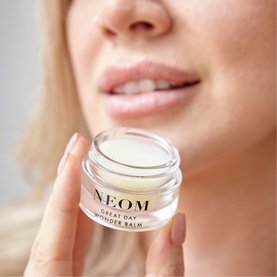 Great Day Wonder Balm 12g