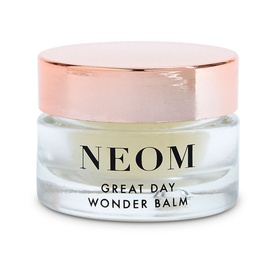 Great Day Wonder Balm 12g