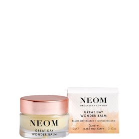 Great Day Wonder Balm 12g