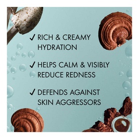 Dr Weil Mega-Mushroom Relief & Resilience Soothing Cream