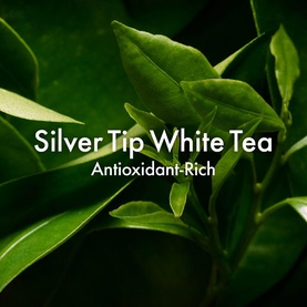 A Perfect World Antioxidant Moisturizer with White Tea