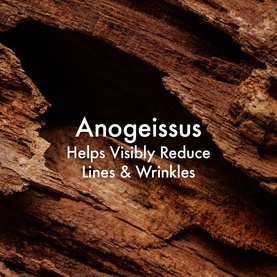 Plantscription&trade; Anti-Aging Cleanser