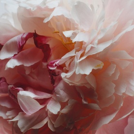 Peony & Blush Suede Travel Candle